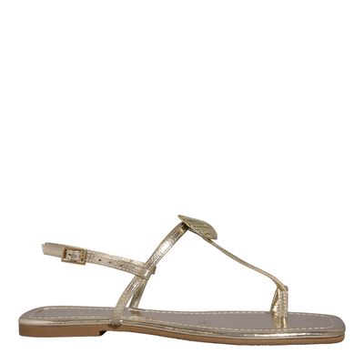 Rasteira Concha Reflexo Metalizada Dourada Ligth Bico Quadrado