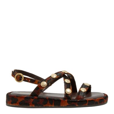 Papete Couro Estampa Pêlo Leopardo Tachas