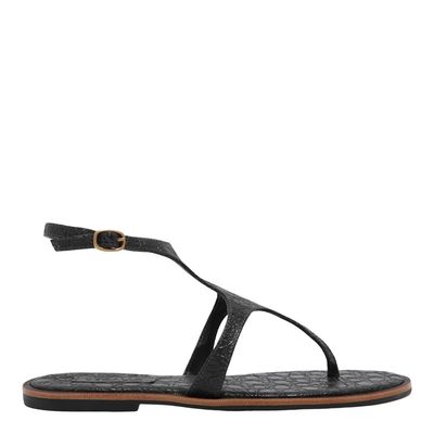 Rasteira croco mouro